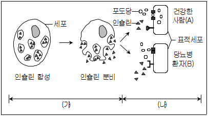 문제 이미지