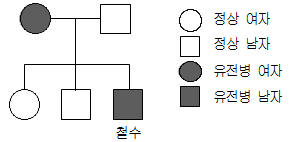 문제 이미지