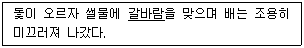 문제 이미지
