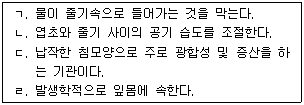 문제 이미지