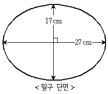 문제 이미지