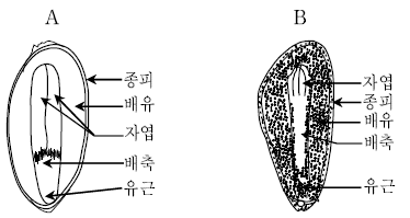 문제 이미지