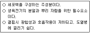 문제 이미지