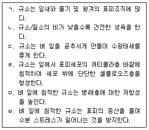 문제 이미지