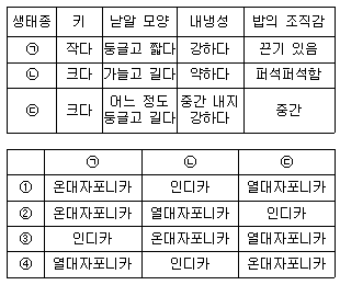 문제 이미지