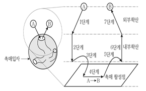 문제 이미지